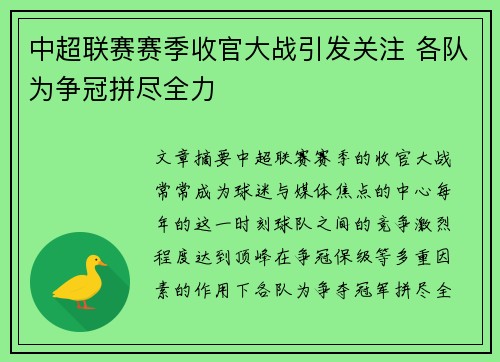 中超联赛赛季收官大战引发关注 各队为争冠拼尽全力